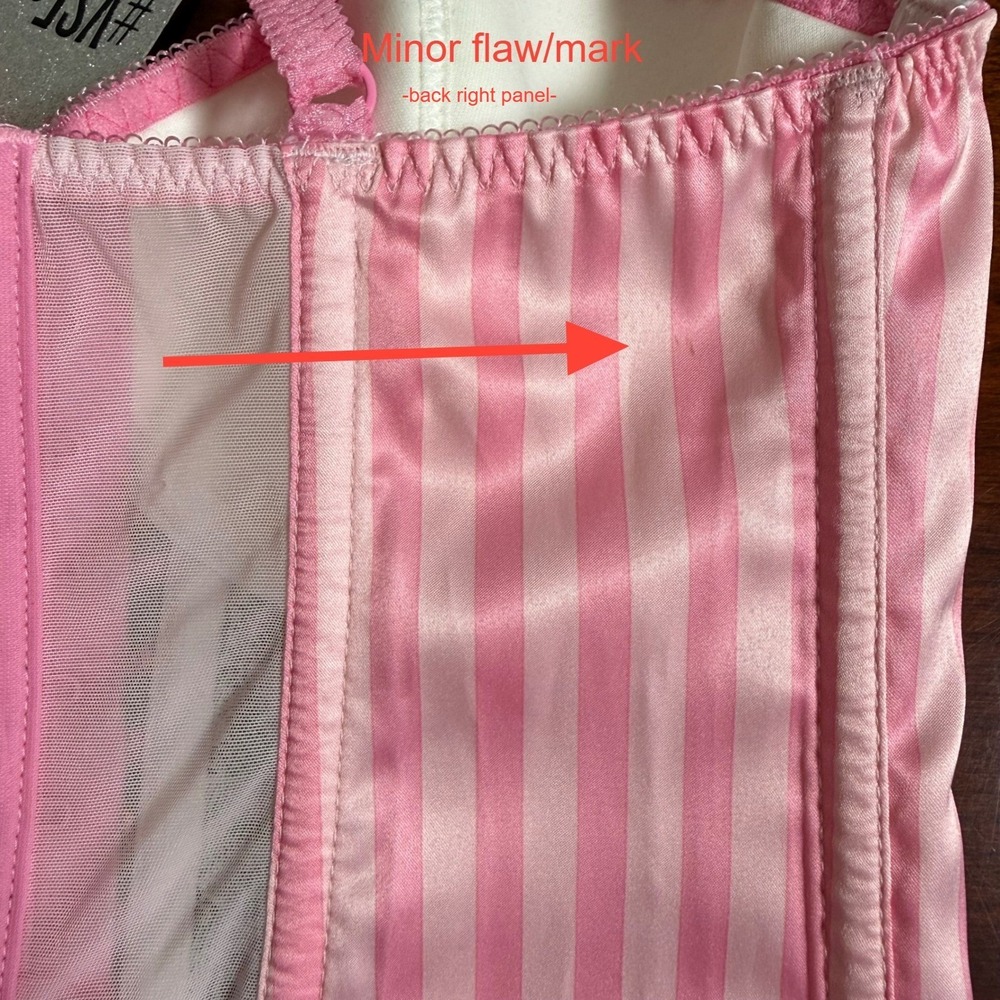 NWT Victoria's Secret 2015 Fashion Show 34C Pink Stripe Lace Corset Bustier Rare - Picture 5 of 13